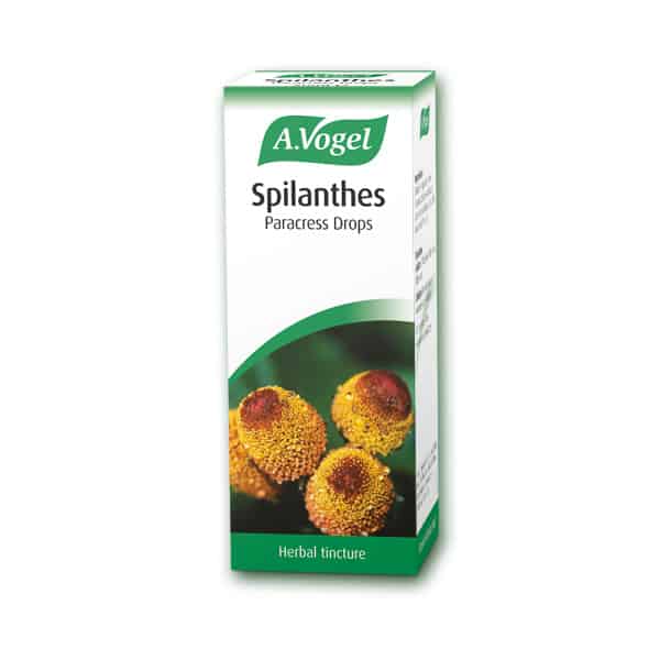 a-vogel-spilanthes-50ml A. Vogel Spilanthes oler, Αντιμυκητιασικό, Candida