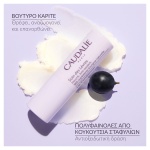 CAUDALIE Lip Conditioner 4,5g